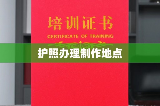 泸西护照办理制作地点